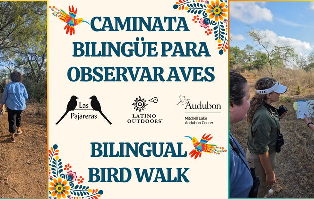 Caminata Bilingüe para Observar Aves con Las Pajareras y Latino Outdoors | Bilingual Bird Walk with Las Pajareras and Latino Outdoors