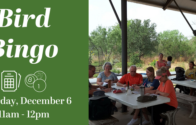 Bird Bingo