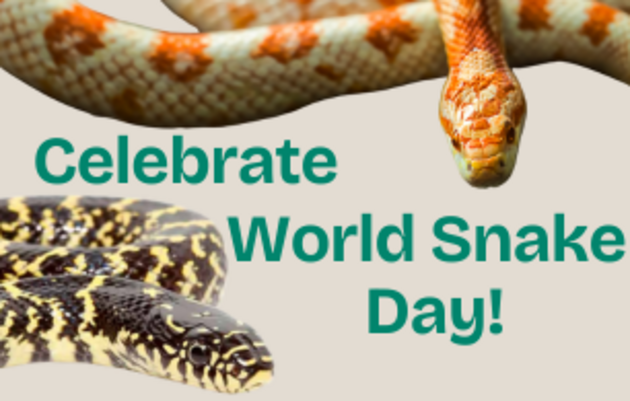 Celebrate World Snake Day