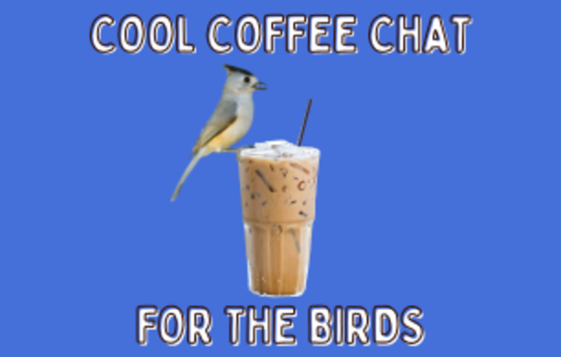 Cool Coffee Chat for the Birds