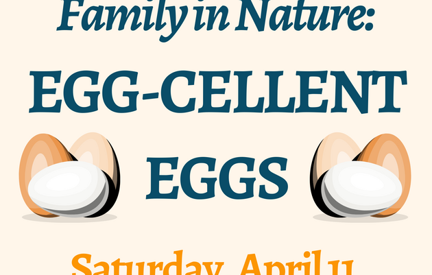 Family Time in Nature: Egg-cellent Eggs