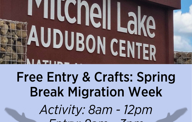 Free Entry: Spring Break Activity Week