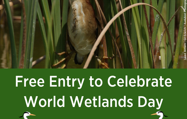 Free Entry to Celebrate World Wetlands Day!