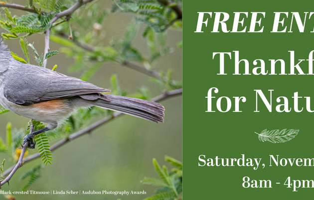 FREE Entry – Thankful for Nature