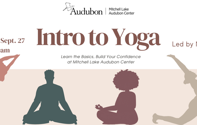 Intro to Yoga: Learn the Basics, Build Your Confidence at Mitchell Lake Audubon Center