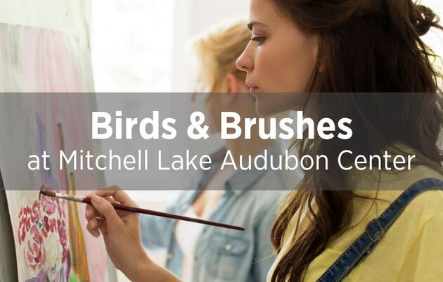 Birds and Brushes