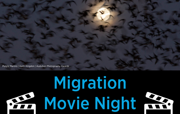 Migration Movie Night