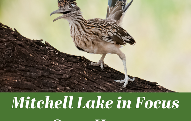 FREE Mitchell Lake in Focus Open House | Día de Puertas Abiertas: Mitchell Lake in Focus