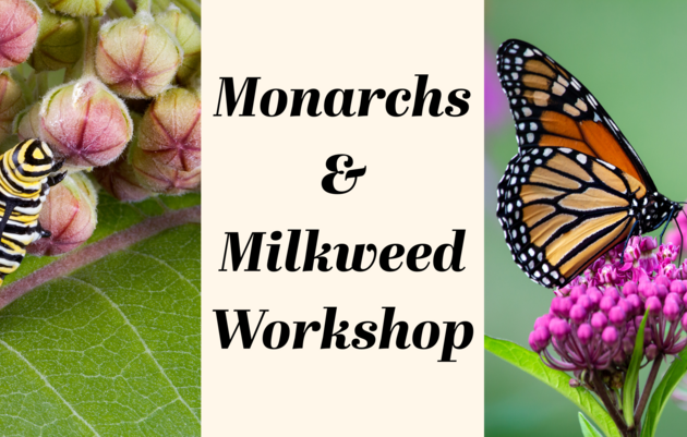 Monarchs and Milkweed Workshop