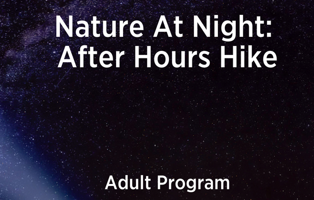 Nature at Night: After Hours Hike (Adult Program)