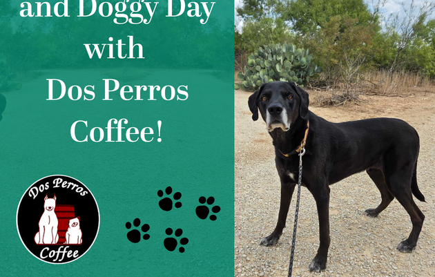 FREE Fall Open House and Doggy Day with Dos Perros Coffee