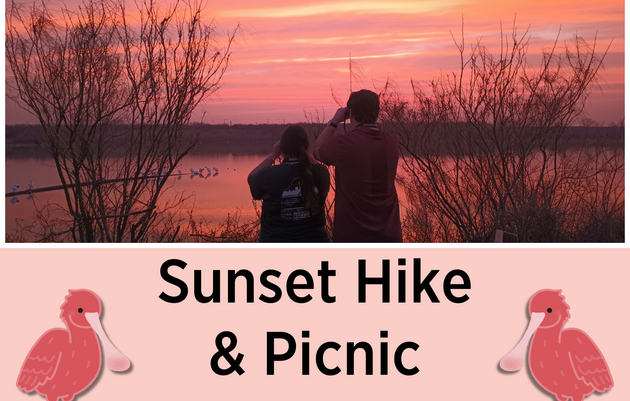 Sunset Hike and Picnic